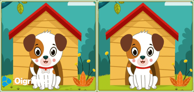 Spot 5 differences