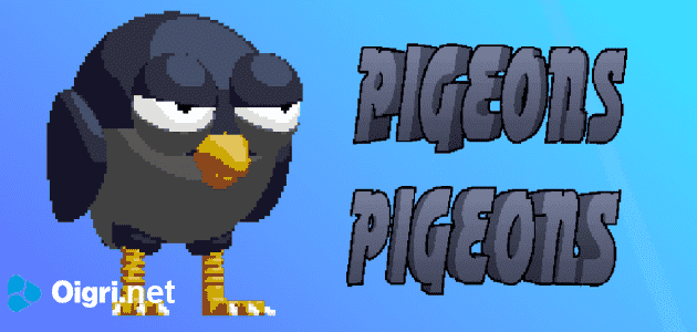 Pigeons pigeons