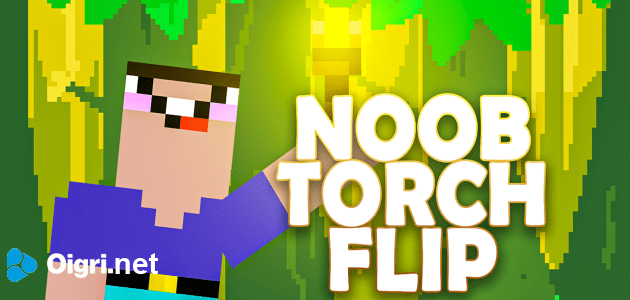 Noob torch flip 2d