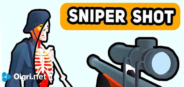 Снайперский выстрел: время пули